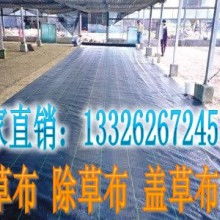 山東泰山土工材料生產廠 專業供應土工材料與PP塑料產品