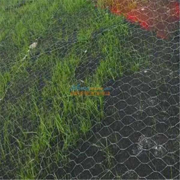 廣西加筋麥克墊護坡與防洪植草的應用