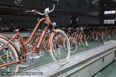 自行車電動(dòng)車助力車生產(chǎn)線工廠與電動(dòng)自行車銷售的發(fā)展與展望